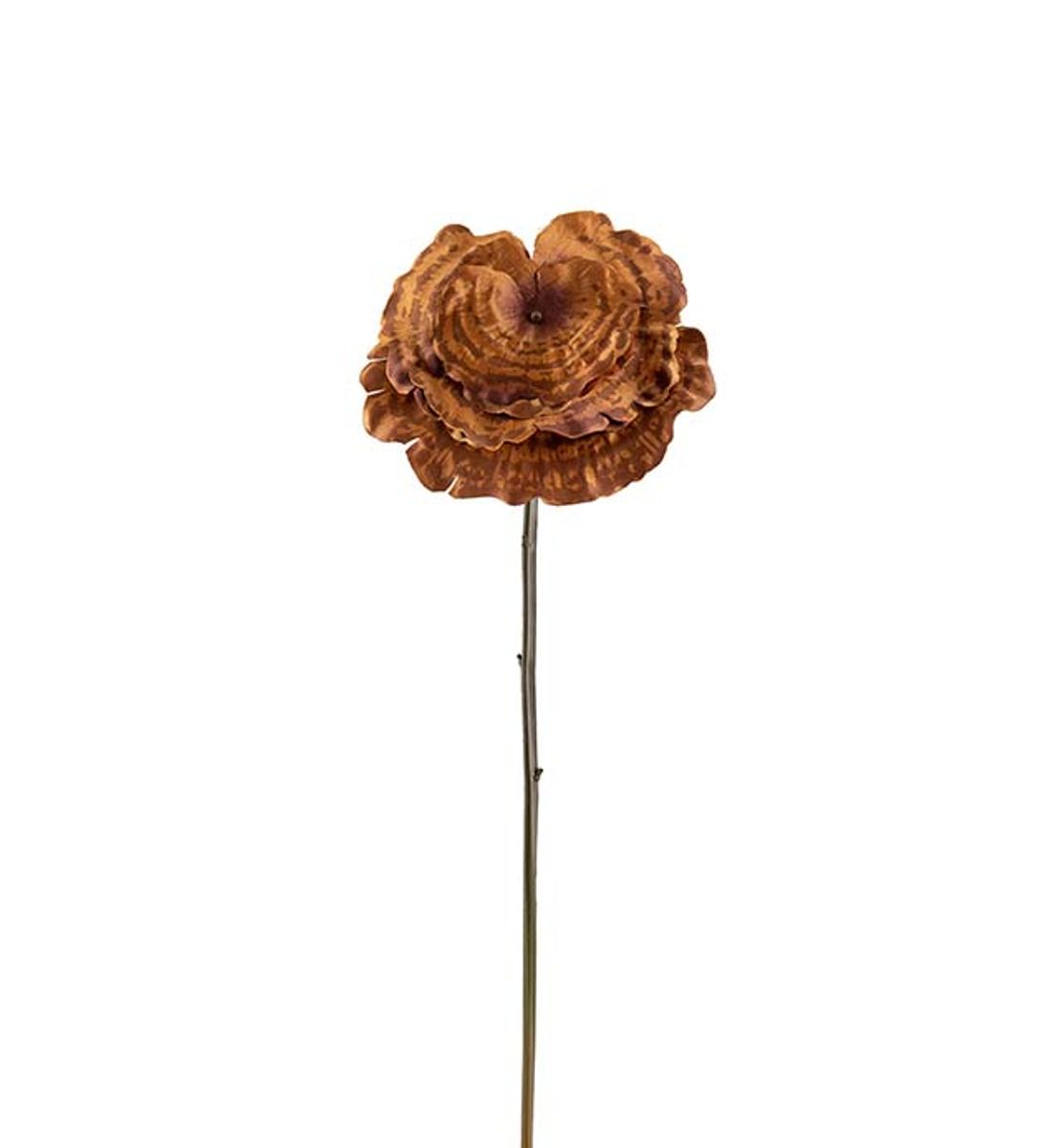 Lackticka - 53 cm - Brun - Mr Plant