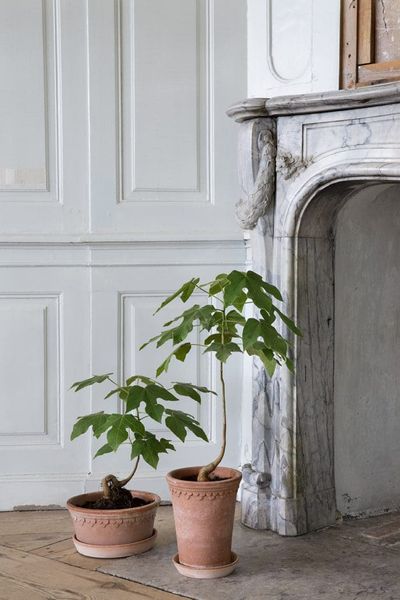 Hovedbilde københavner ø30 low rosa  - Bergs potter